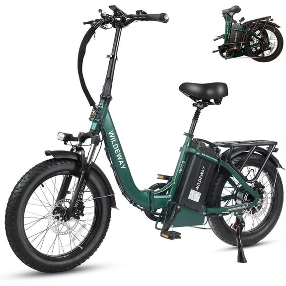 Wildeway Folding Electric Bike for Adults 20'',Hydraulic Brake, 750W 48V 32AH UL2849 Removable Battery Electric Bicycle , 7 Speeds with Fat Tire E-Mountain Bike Off-road Beach&Snow Ebike