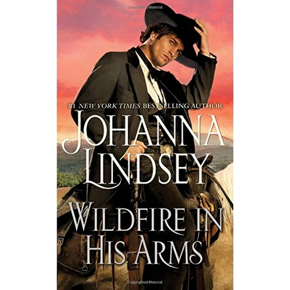 Pre-Owned Wildfire in His Arms (Mass Market Paperback) 1501105442 9781501105449