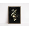 thumbnail image 1 of Wildflower Art Poster Autumn Botanical Wall Dark Academia Decor Fall Moody Floral Poster, Unframed Canvas Size 24x36, 1 of 4