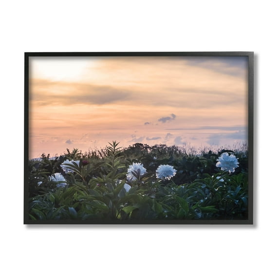 Wildflower Blossoms Sunset Sky Landscape Photograph Black Framed Art Print Wall Art