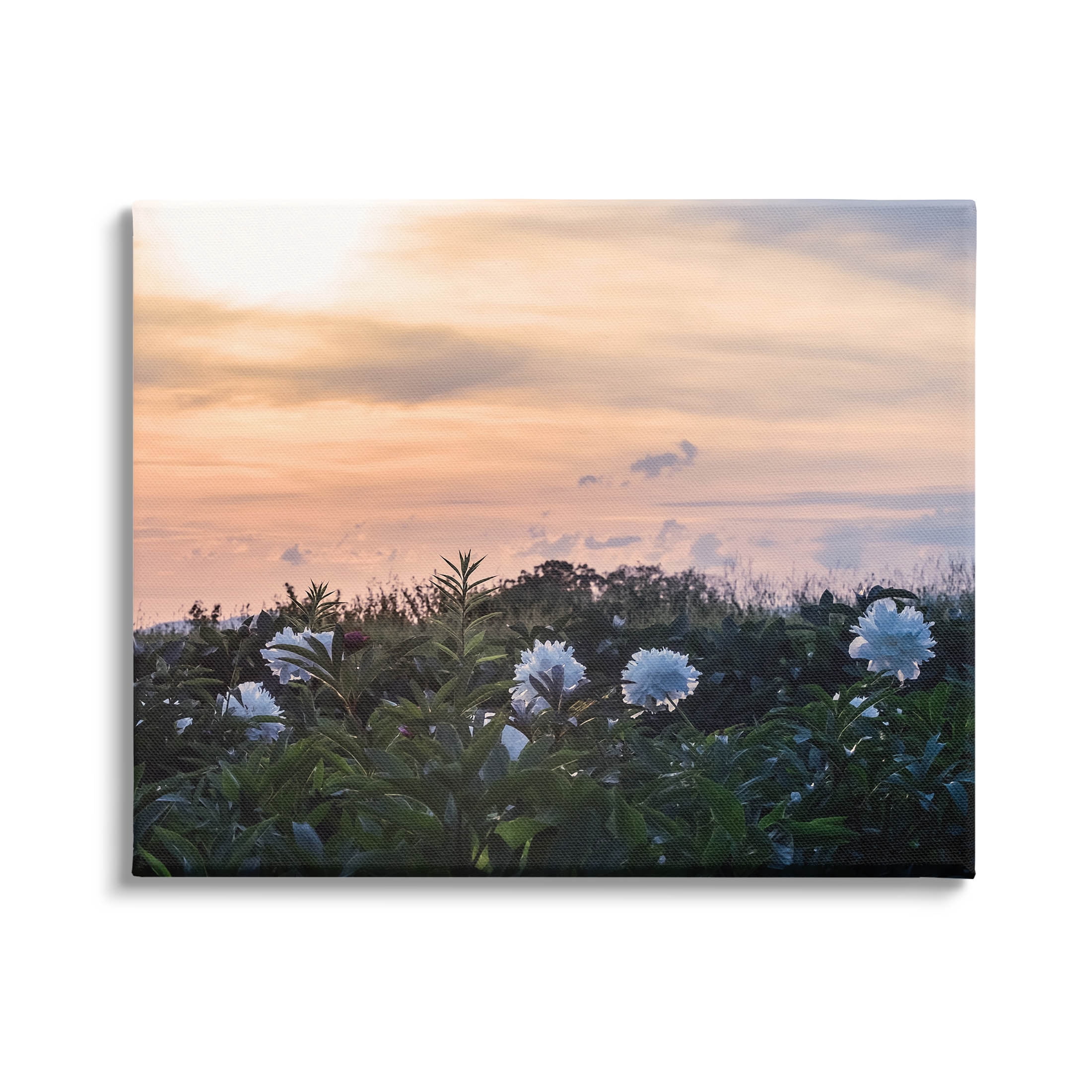 Wildflower Blossoms Sunset Sky Landscape Photograph Gallery Wrapped Canvas Print Wall Art