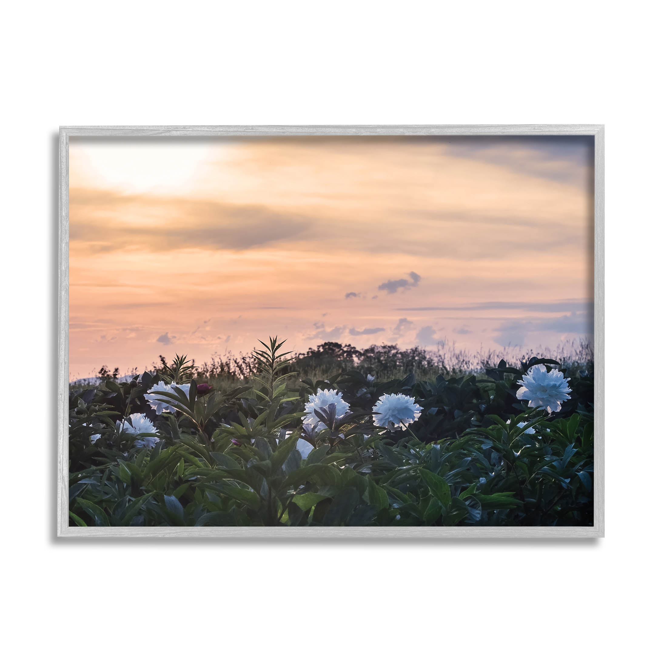 Wildflower Blossoms Sunset Sky Landscape Photograph Gray Framed Art Print Wall Art