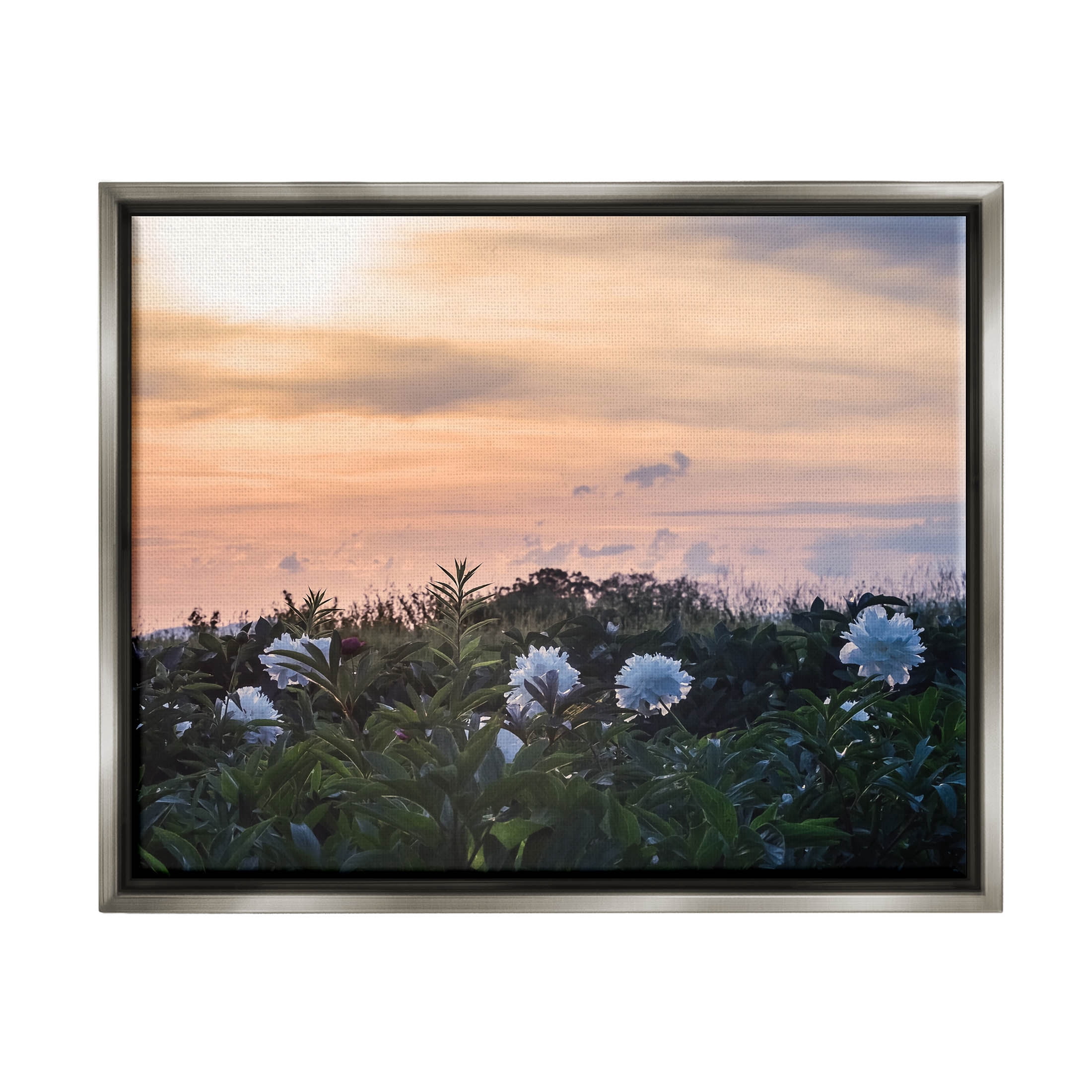 Wildflower Blossoms Sunset Sky Landscape Photograph Luster Gray Framed Art Print Wall Art