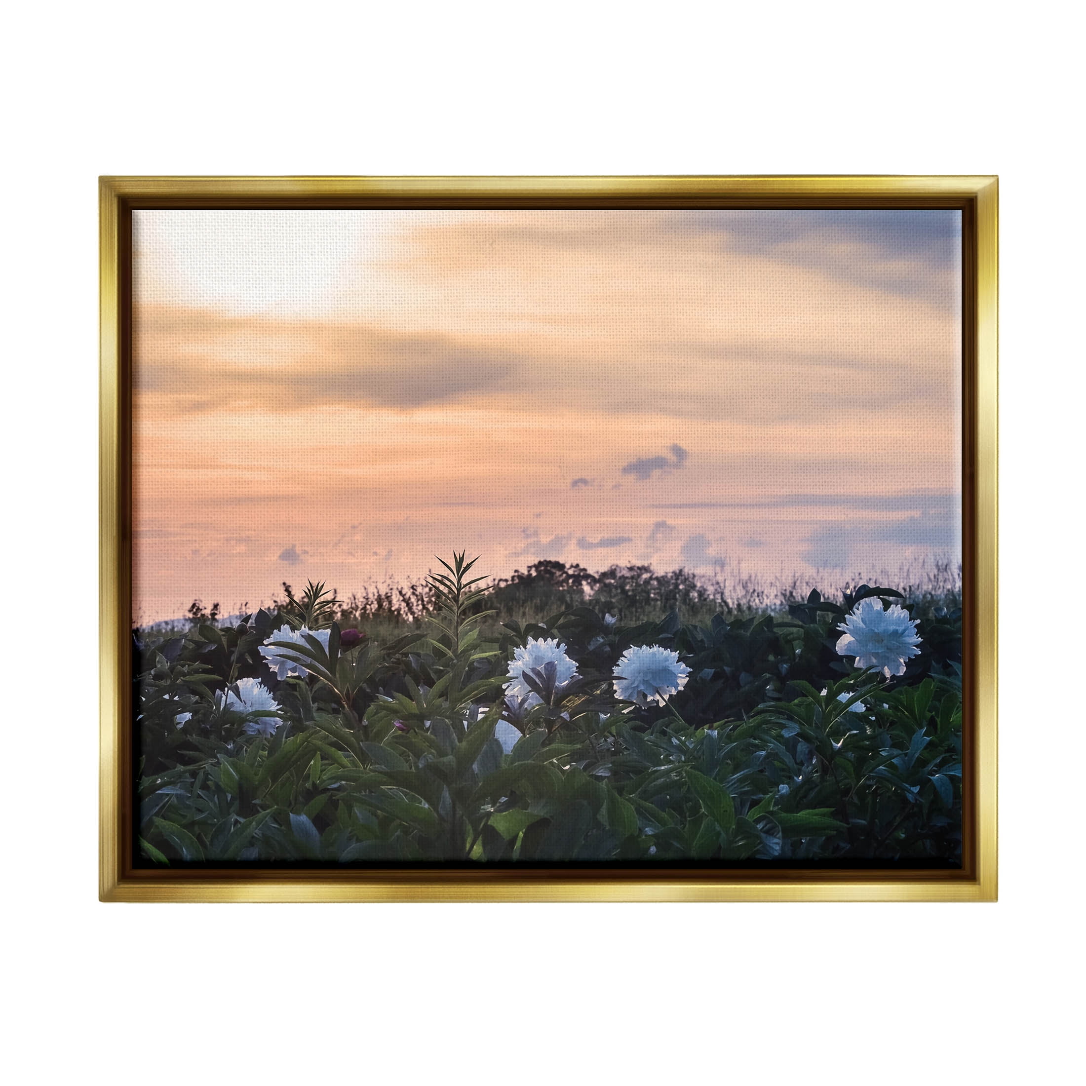 Wildflower Blossoms Sunset Sky Landscape Photograph Metallic Gold Framed Art Print Wall Art