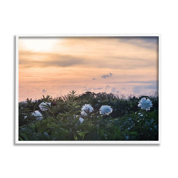 Wildflower Blossoms Sunset Sky Landscape Photograph White Framed Art Print Wall Art