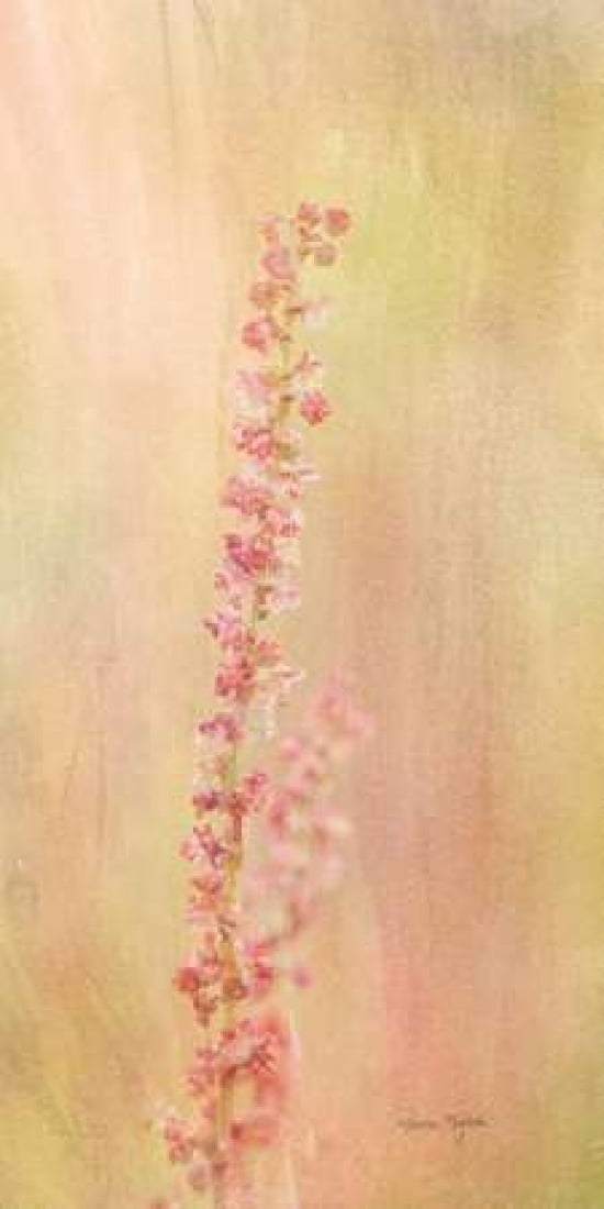 Wildflower Canvas Art - Ramona Murdock (10 x 20)