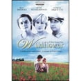thumbnail image 1 of Pre-Owned Wildflower [DVD] NEW, 1 of 1
