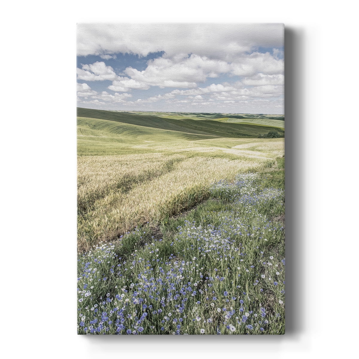 Wildflower Farm Premium Gallery Wrapped Canvas - Ready to Hang