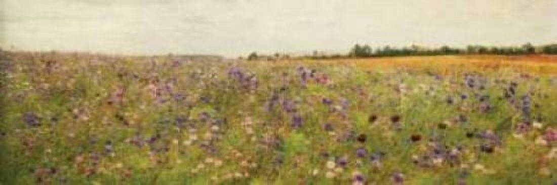 Wildflower Field I Canvas Art - Amy Melious (12 x 36)