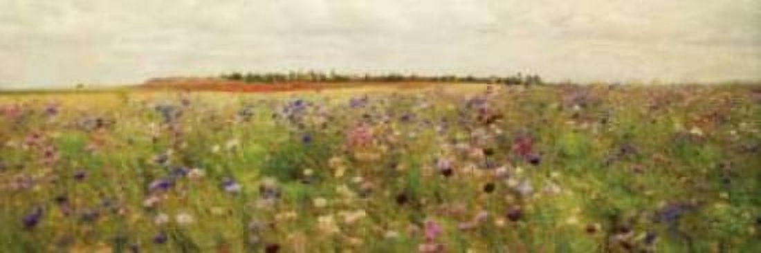 Wildflower Field II Canvas Art - Amy Melious (8 x 24)