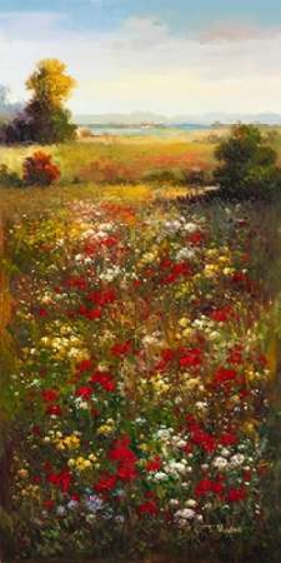 Wildflower Meadow II Canvas Art - Arcobaleno (24 x 48)