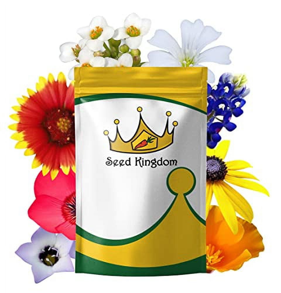 Wildflower Mix Annual 21 Varieties Non GMO Bulk Flower Seeds by Seed Kingdom (1 Lb Seeds)