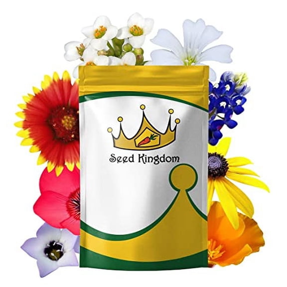 Wildflower Mix Annual 21 Varieties Non GMO Bulk Flower Seeds by Seed Kingdom Aprox. 10,000 Seeds (8 Gram)
