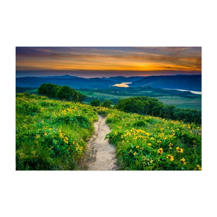 Wildflower - Oregon Photography Unframed Wall Art Print 5 x 7 inches