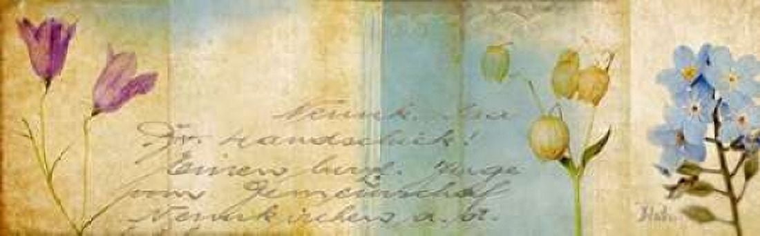 Wildflower Panel II Canvas Art - Patricia Pinto (12 x 36)