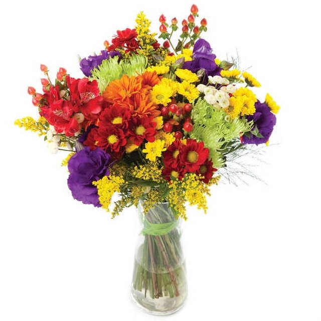 Wildflower Roll Out Seed Mat