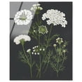 thumbnail image 1 of Wildflower Umbel I Acrylic Print Farmhouse Art by Art Remedy, Ready to Hang, 24 x 30, 1 of 6