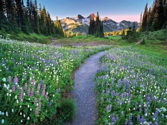 Wildflower Walkway Canvas Art - Dennis Frates (18 x 24)