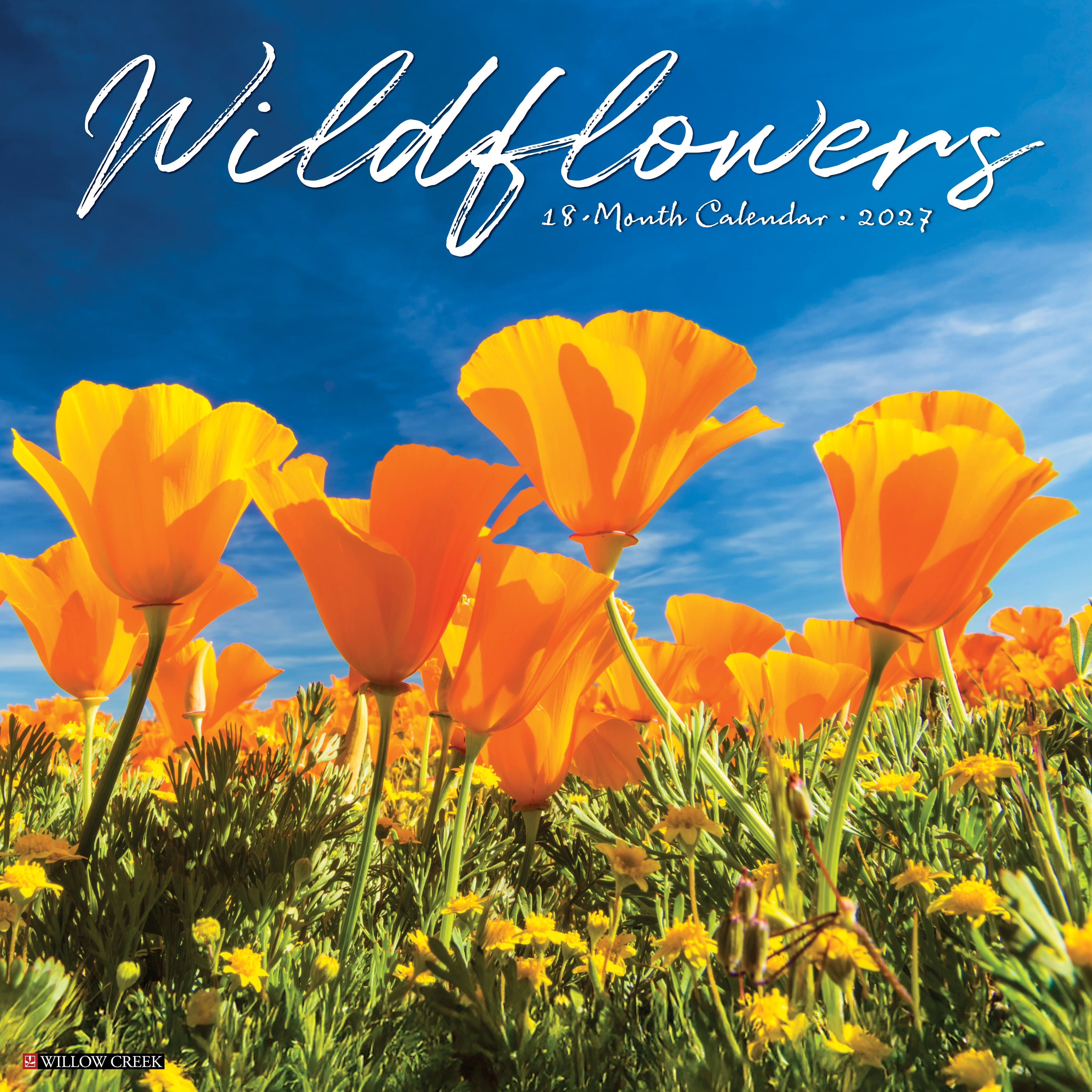 Willow Creek Press, Wildflowers 2027 Wall Calendar