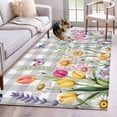 thumbnail image 1 of Wildflowers Area Rugs 4'x6', Washable Small Throw Rugs for Office Bathroom, Spring Watercolor Tulip Floral Leaf Grey Plaid Indoor Outdoor Rug Non-Slip Low Pile Carpet Runner Reversible Floor Mats, 1 of 8
