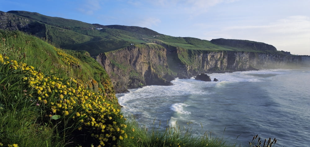 Wildflowers At The Coast County Antrim Northern Ireland Canvas Art - The Irish Image Collection Design Pics (44 x 21)