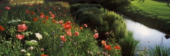 Wildflowers Crakehall Beck Crakehall North Yorkshire England Canvas Art - Panoramic Images (36 x 12)