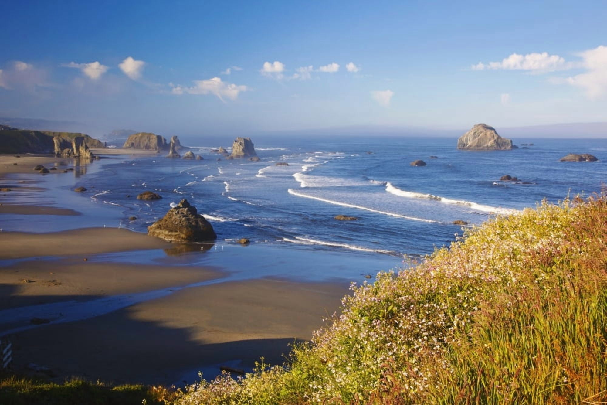 Wildflowers And Rock Formations Along The Coast At Bandon State Park Bandon Oregon United States of America Canvas Art - Craig Tuttle Design Pics (38 x 24)