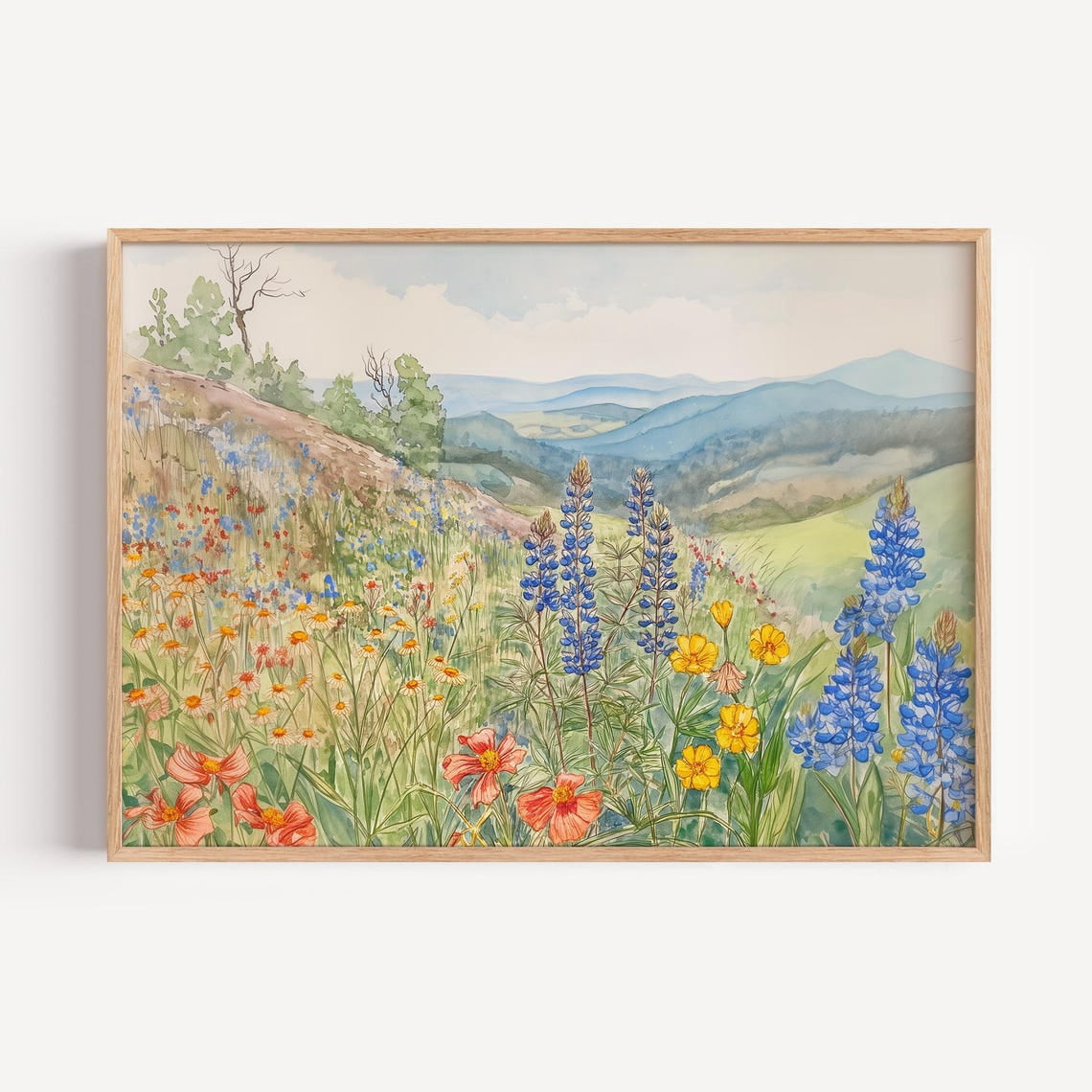 Wildflowers Shenandoah Park Ridge Bold Canyon Grassy Trail Airy Moment ...