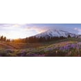 thumbnail image 1 of Wildflowers at sunset near Mount Rainier, Washington Poster Print (36 x 12), 1 of 1