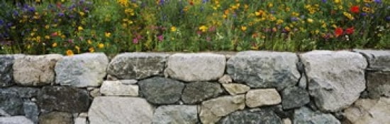 Wildflowers growing near a stone wall Fidalgo Island Skagit County Washington State USA Canvas Art - Panoramic Images (36 x 12)