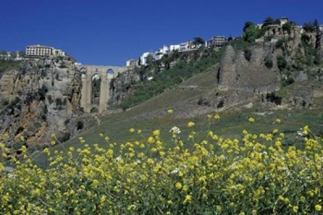 Wildflowers in El Tajo Gorge and Punte Nuevo Ronda Spain Canvas Art - John & Lisa Merrill DanitaDelimont (18 x 12)