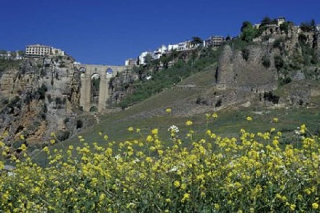 Wildflowers in El Tajo Gorge and Punte Nuevo Ronda Spain Canvas Art - John & Lisa Merrill DanitaDelimont (36 x 24)