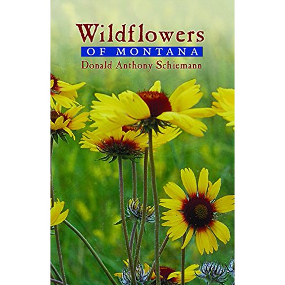 Pre-Owned Wildflowers of Montana (Paperback) 0878425047 9780878425044