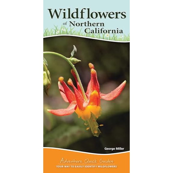Pre-Owned Wildflowers of Northern California: Your Way to Easily Identify Wildflowers (Spiral-bound) 1591937531 9781591937531