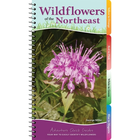 Adventure Quick Guides Wildflowers of the Northeast: Your Way to Easily Identify Wildflowers, (Spiral-Bound)