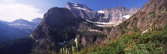 Wildflowers with mountain range in the background US Glacier National Park Montana USA Canvas Art - Panoramic Images (36 x 12)
