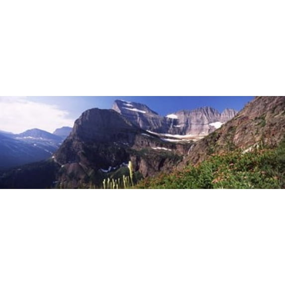 Wildflowers with mountain range in the background, US Glacier National Park, Montana, USA Poster Print (18 x 6)