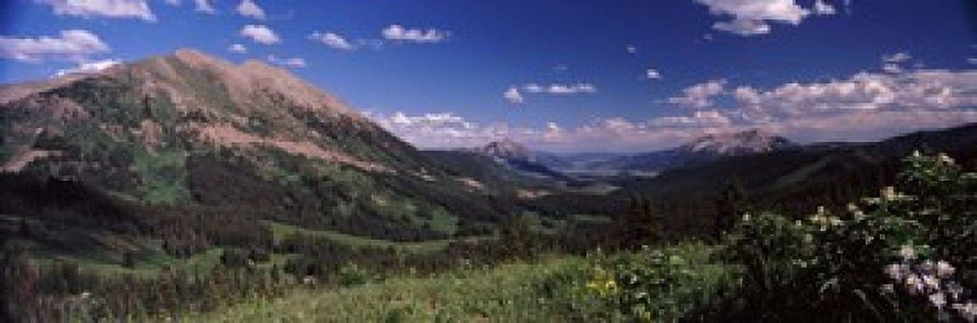Wildflowers with mountains in the background Crested Butte Gunnison County Colorado USA Canvas Art - Panoramic Images (18 x 6)