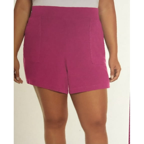 Wildfox Women Short (Size XL)