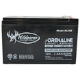 thumbnail image 1 of WILDGAME INNOVATIONS 12V Edrenaline Rechargeable Battery for Game Feeders Outdoor Long-Lasting Sealed Lead-Acid Tab Style Rechargeable Battery, 1 of 7