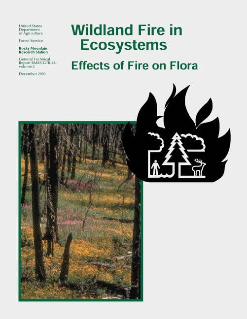 Wildland Fire in Ecosystems : Effects of Fire on Flora - Walmart.com