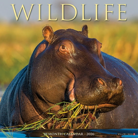 Wildlife 2026 Wall Calendar, (Paperback)