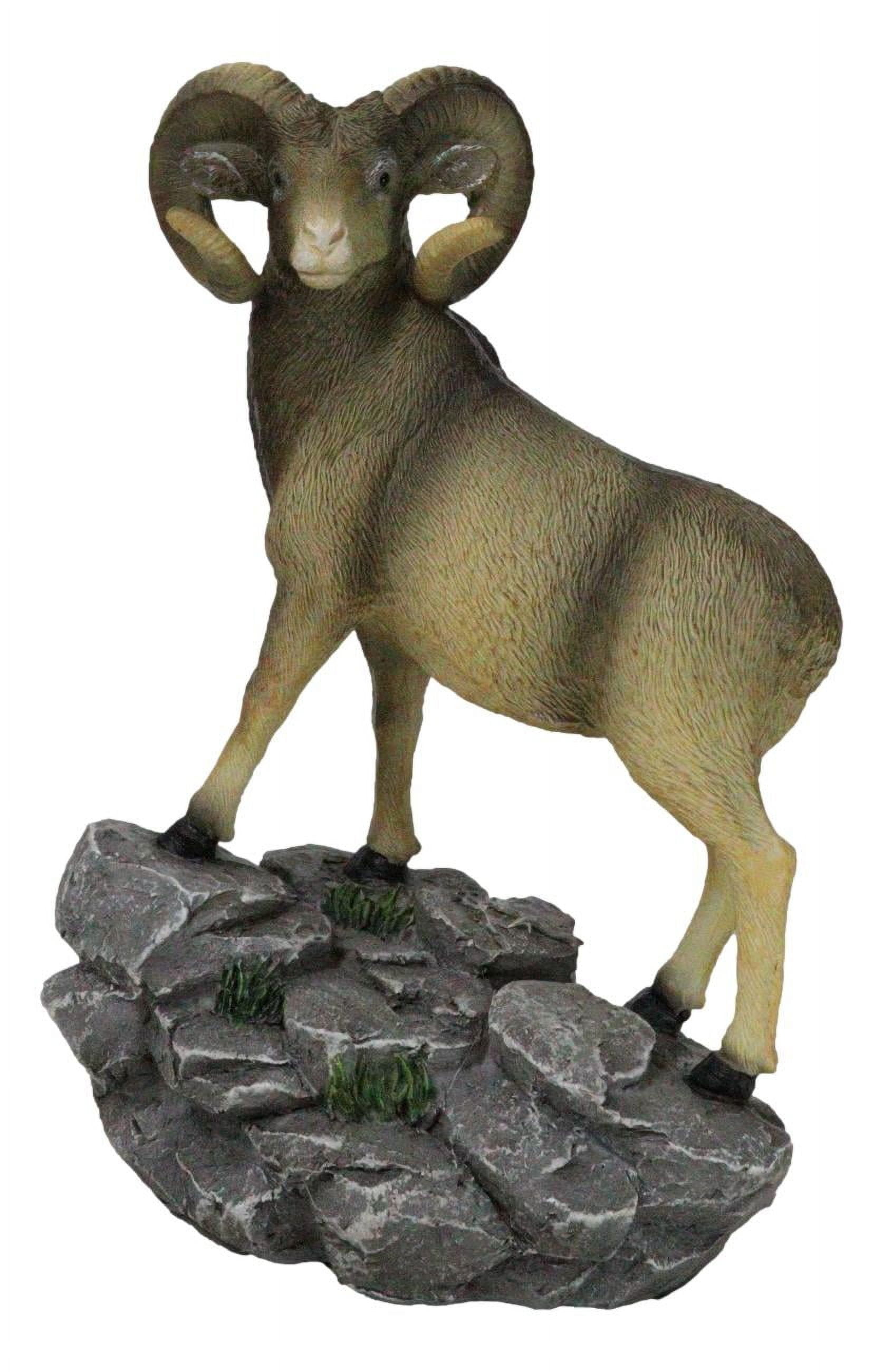 Wildlife Animal Taxidermy Bighorn Sheep Ram Standing On Rocky Steppes