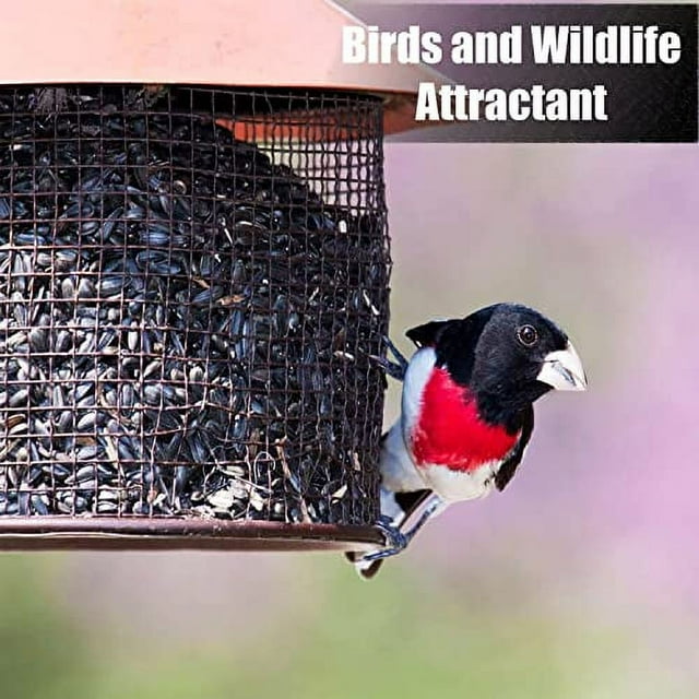 Wildlife Black Oil Sunflower Seeds, 50 Pounds, for Birds and Wildlife