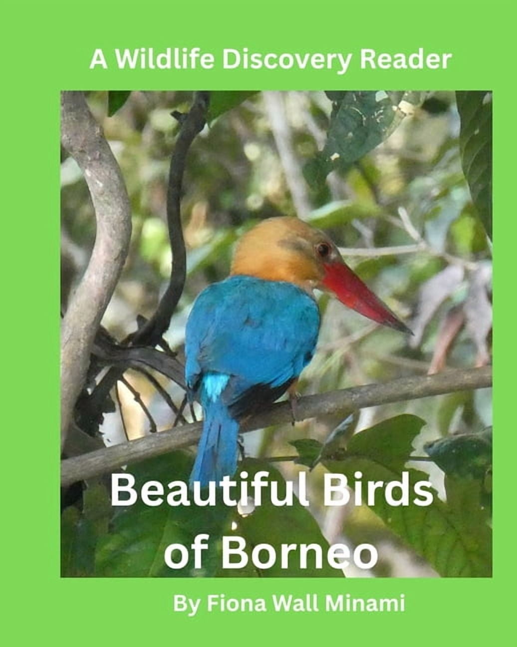 Wildlife Discovery Reader Beautiful Birds of Borneo: A Wildlife Discovery Reader, (Paperback)