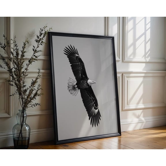 Wildlife Eagle In Flight Art Print Black & White Photography Modern Wall Decor