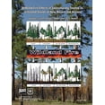 thumbnail image 1 of Wildlife Fire Effects in Silviculturally Treated Vs Untreated Stands of New Mexico and Arizona, 1 of 1