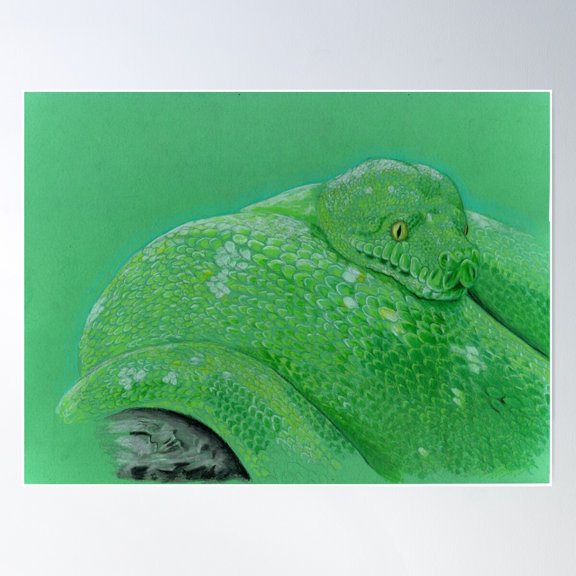 Wildlife Green Snake Drawing Artwork Poster Wall Art, Modern Wall Decor For Living Room Bedroom, 8x12 UNFRAMED