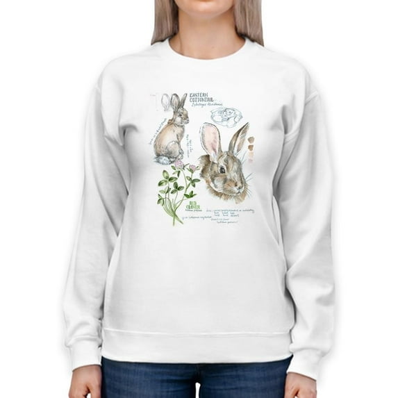 Wildlife Journal. Hare Sweatshirt Women -Jennifer Paxton Parker Designs, Female 3X-Large