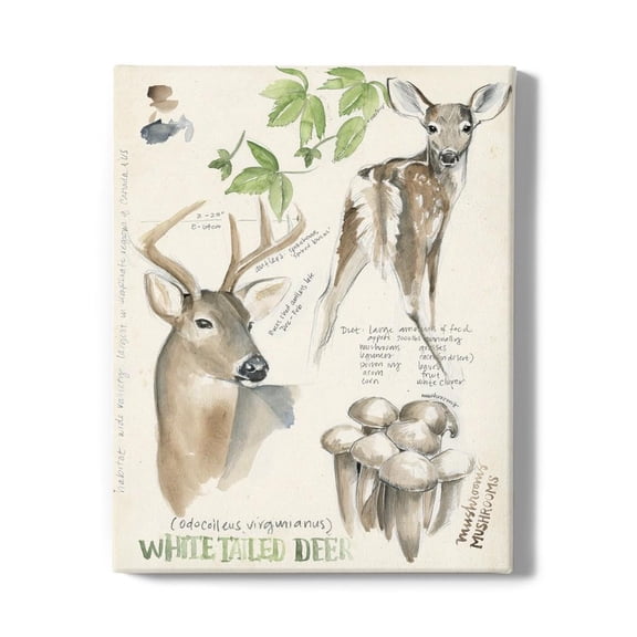 Wildlife Journals. Iv. Wrapped Canvas -Jennifer Paxton Parker Designs,